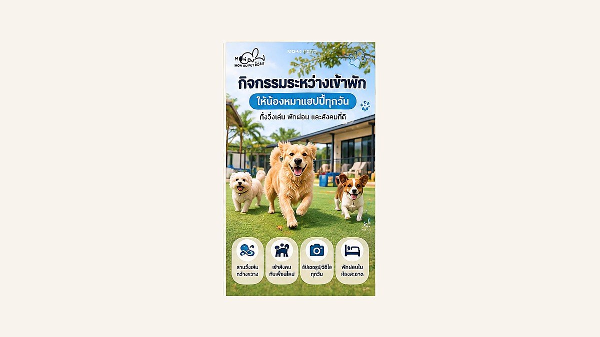 กิจกรรมระหว่างเข้าพัก ช่วยให้น้องหมาแฮปปี้ทุกวัน