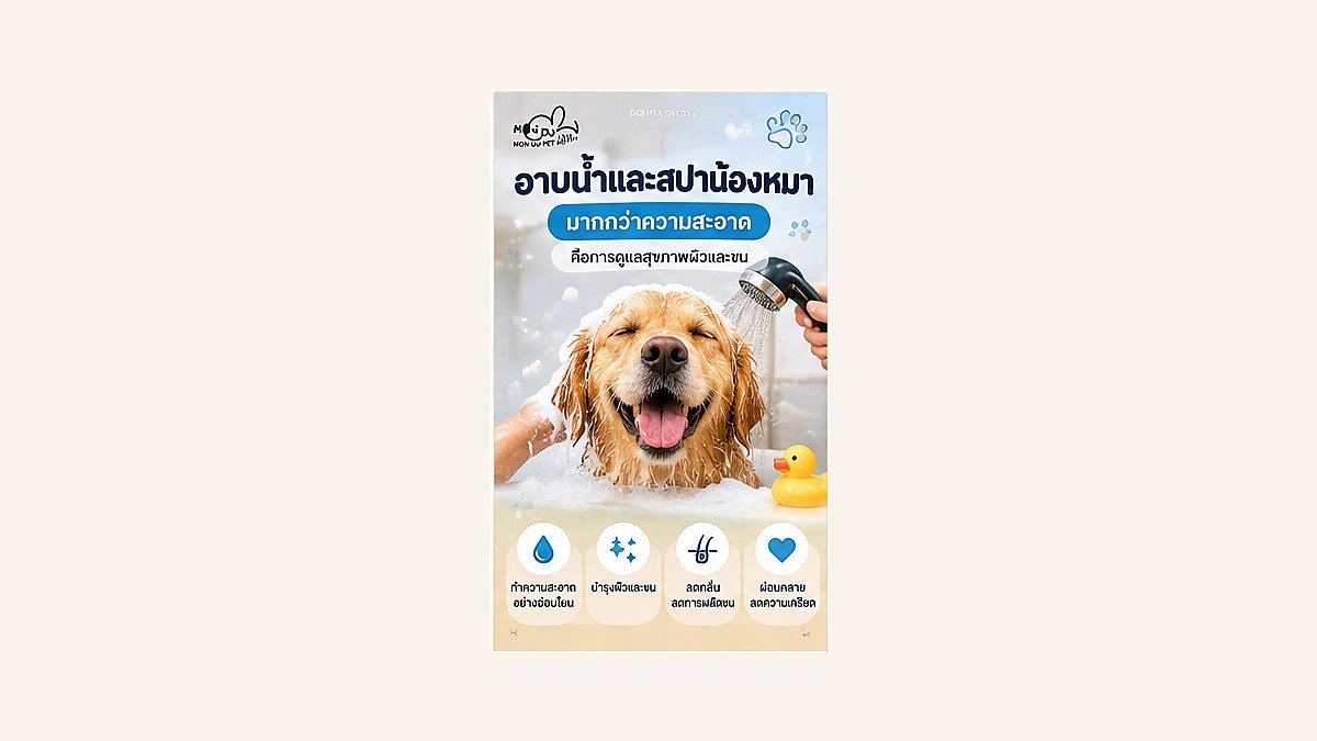 อาบน้ำ สปา และกรูมมิ่ง ดูแลน้องหมามากกว่าความสะอาด