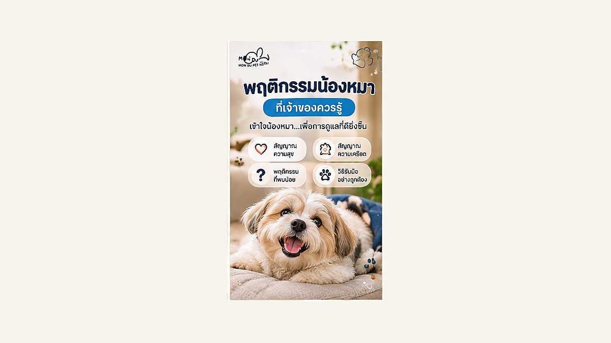 พฤติกรรมน้องหมาที่เจ้าของควรแจ้งก่อนเข้าพัก