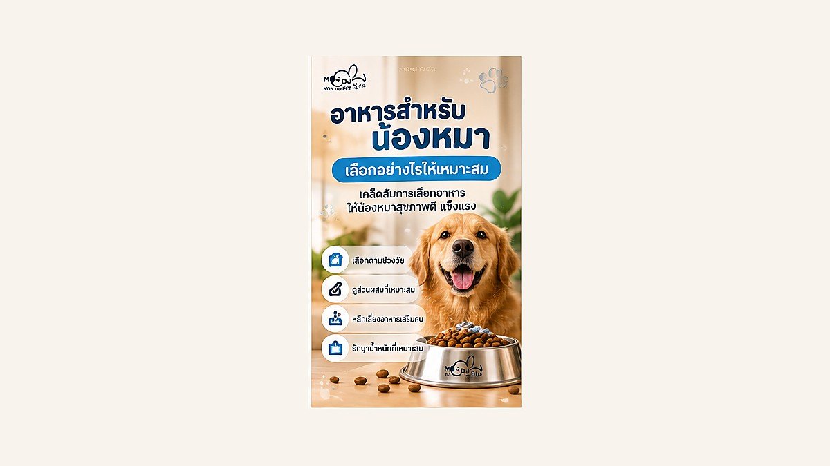 อาหารสำหรับน้องหมาระหว่างเข้าพัก ควรเตรียมอย่างไร