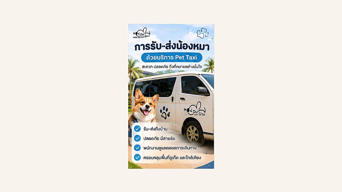Pet Taxi บริการรับ-ส่งน้องหมา สะดวกและปลอดภัย